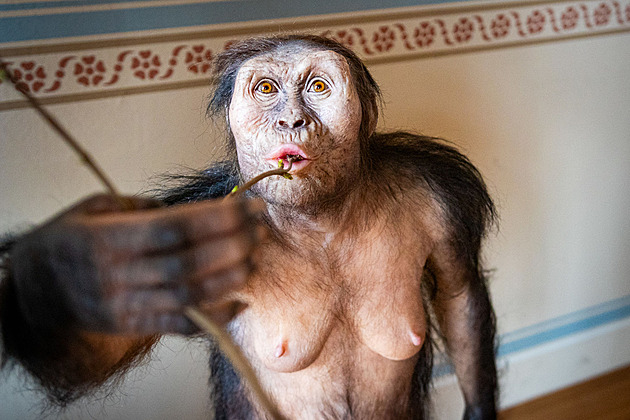 Národní muzeum otevřelo expozici s prapředky lidstva Lucy a Selam
