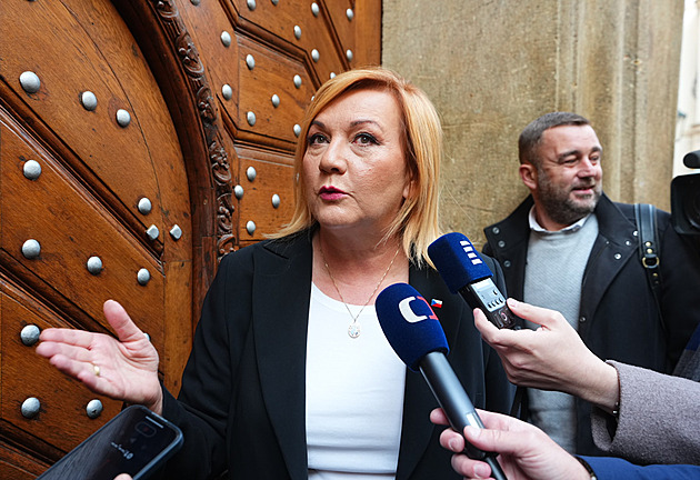 Pokud je to realita, je to zavrženíhodné, říká Schillerová k nové Turkově kauze