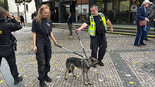 Štěně na pět hodin ochromilo provoz metra A, fenky se ujme trojský útulek