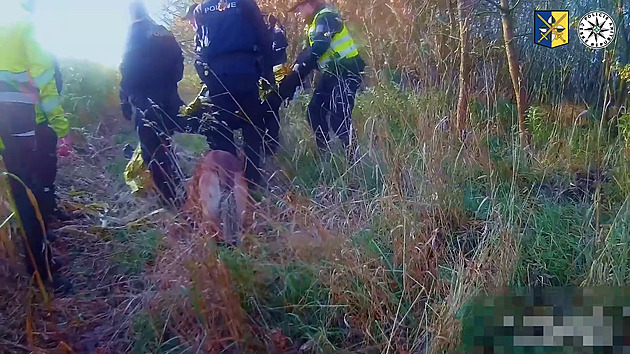 Myslivec slézal z posedu, uklouzl a nemohl vstát, noc strávil v kukuřičném poli