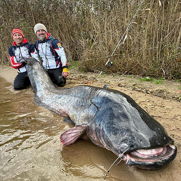 Rybáři jen pár kilometrů od Karviné chytili rekordního sumce, překonali i úlovek Vágnera