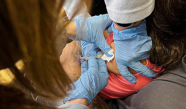 Žloutenka A nabírá na síle. Už se v Česku rozprostřela tak, jako za komunismu