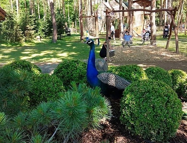 Pražský Krtův svět zavřela inspekce. I kvůli vypouštění splašků do okolního lesa