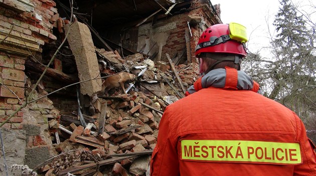 Zřícená zeď domu na Karlovarsku zasypala ženu, sama se dostala ze sutin