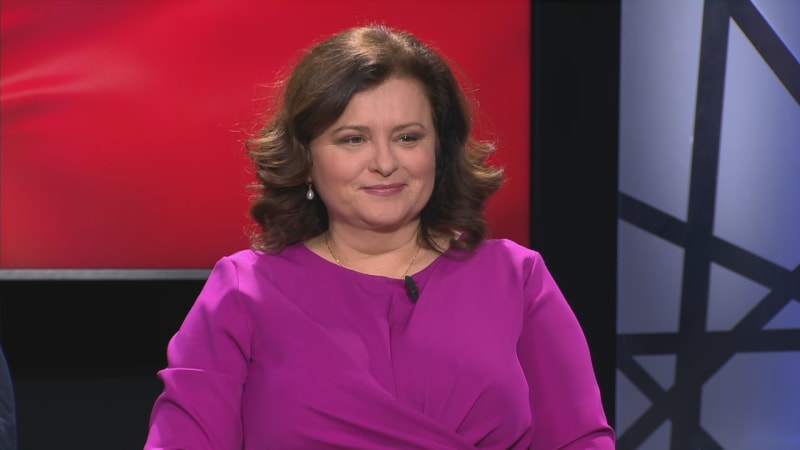 Nemá co vyjednávat za vládu, kritizuje Jermanová Turka. Manévr s Tarabou má za chybu i David