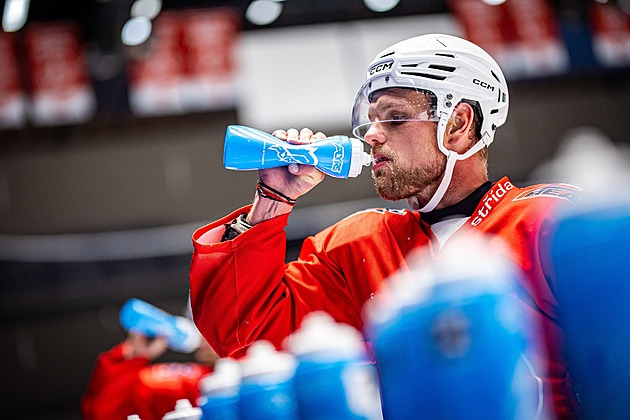 Dynamo si podrželo Sobotku, zkušený útočník podepsal smlouvu na další sezonu