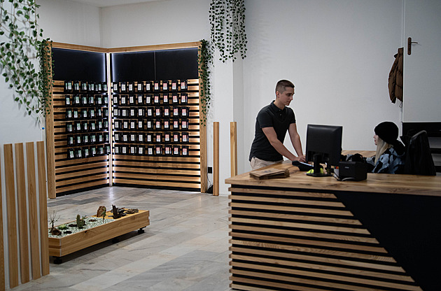 Kratom nově: Bez dětí, kilovek a dráž. Zmapovali jsme, jak to v funguje v praxi