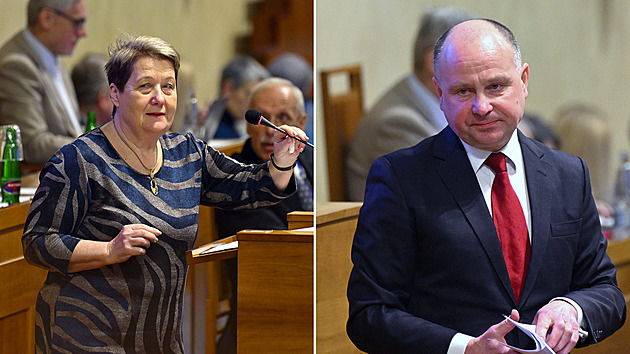 Kandidáty na ombudsmana jsou bývalý ústavní soudce Jirsa a právnička Kostolanská