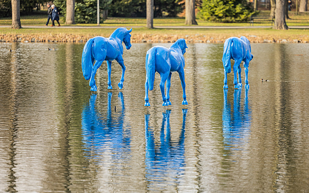 Sousoší Tří modrých koní v parku v Hradci zůstává, povolení už senátor má