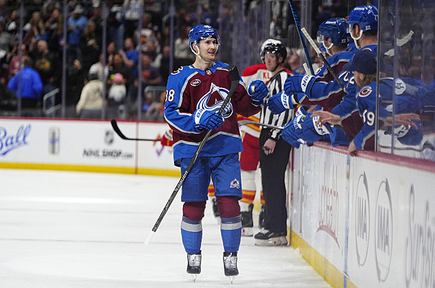 Nečas podpořil kanonádu třemi body, Gudas v odvetě shodil rukavice