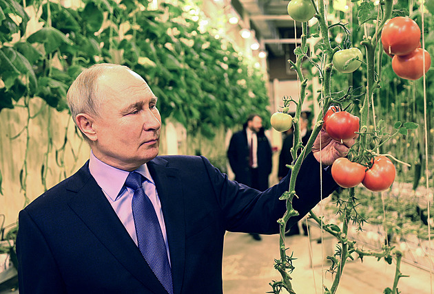 Jablko za tři stovky? Děláme něco špatně, žasl Putinův zmocněnec na Čukotce