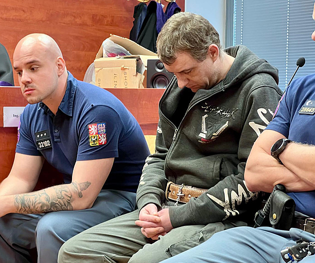 Věznění, mučení a znásilňování ženy v Siřemi. Obžalovaní prohlásili vinu