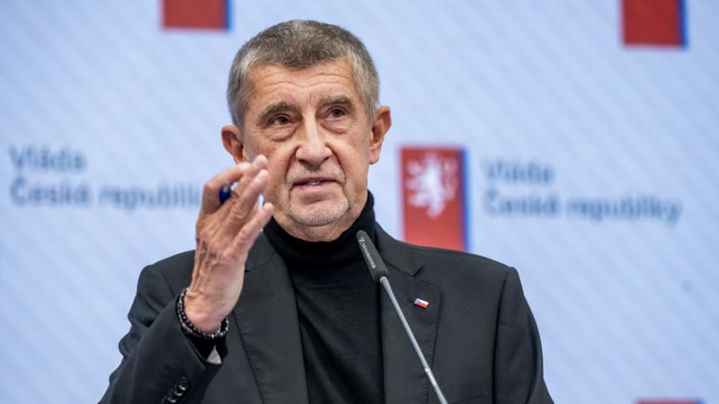 Babiš hasí oheň kolem lidských práv: Radám slíbil člověka pod vládou, zmocněnkyni Malé tým