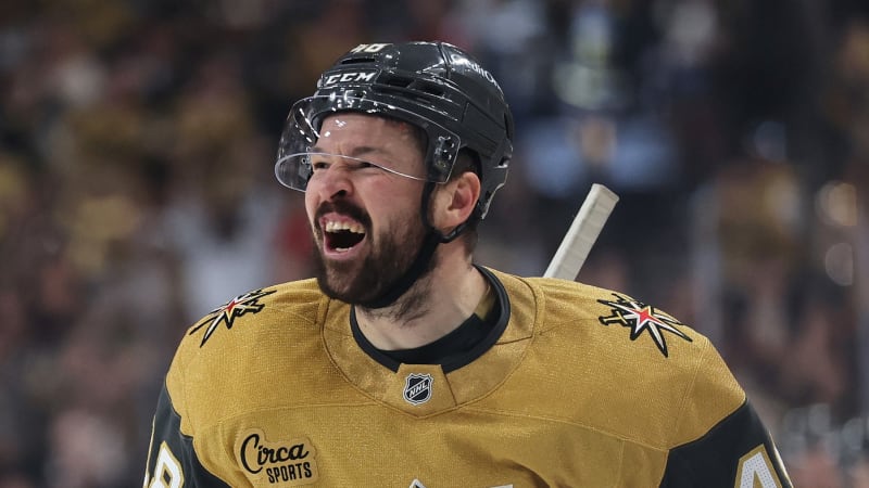 Hertl ve finále září. Od syna slyšel: Tatínku, já už Stanley Cup vyhrál. Teď je řada na tobě