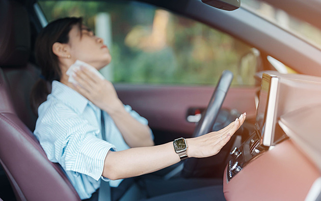 Když v horku najdete v zaparkovaném autě dítě nebo zvíře, jednejte