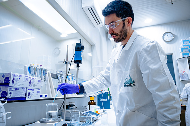 Z pěstíren připomínajících laboratoře až na české zahrady. Jak se dnes pěstuje konopí