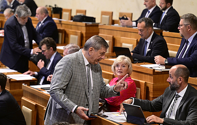 Senát rozhodne o zvýšení rodičovského příspěvku od ledna příštího roku